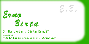 erno birta business card